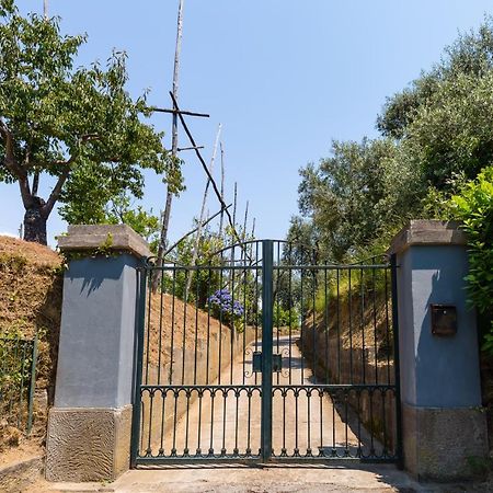 Villa Ada Sorrento Exteriör bild