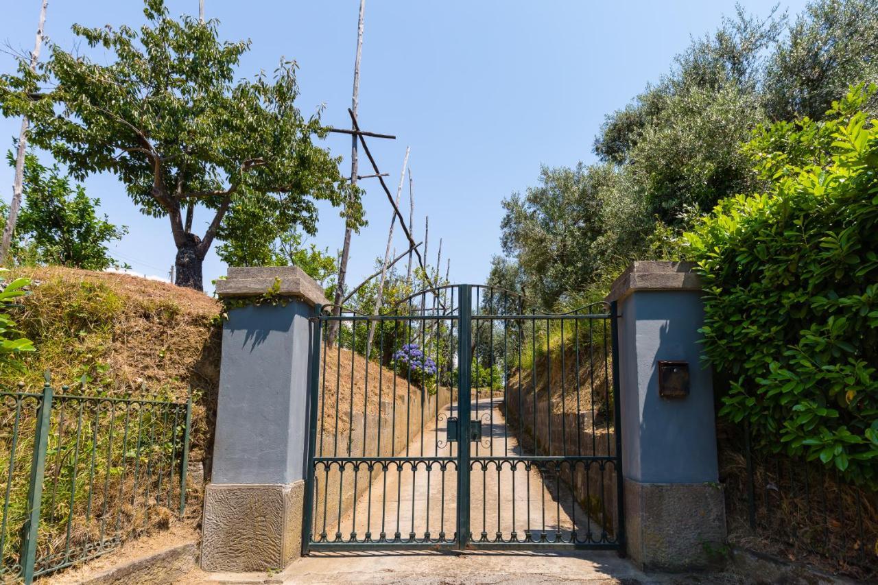 Villa Ada Sorrento Exteriör bild